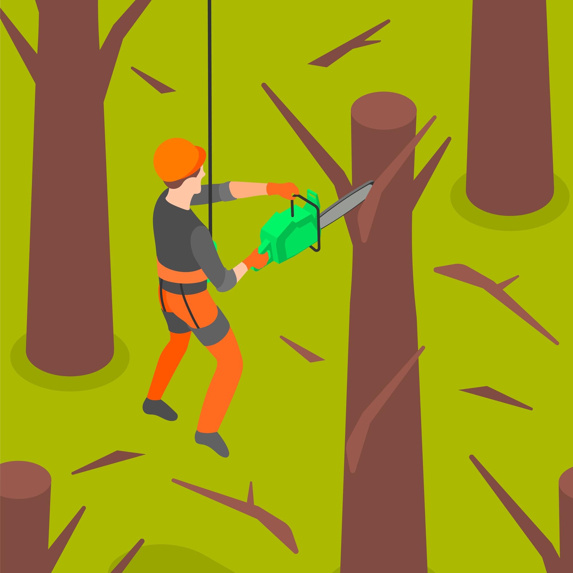 Tree Care Services in Brisbane