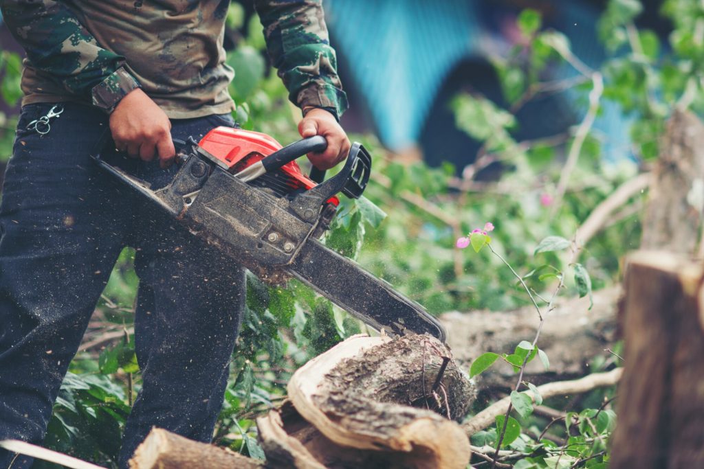 Tree Pruning