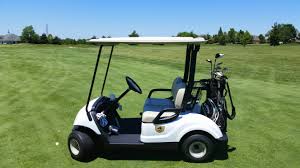 What Powers Your Golf Buggy?