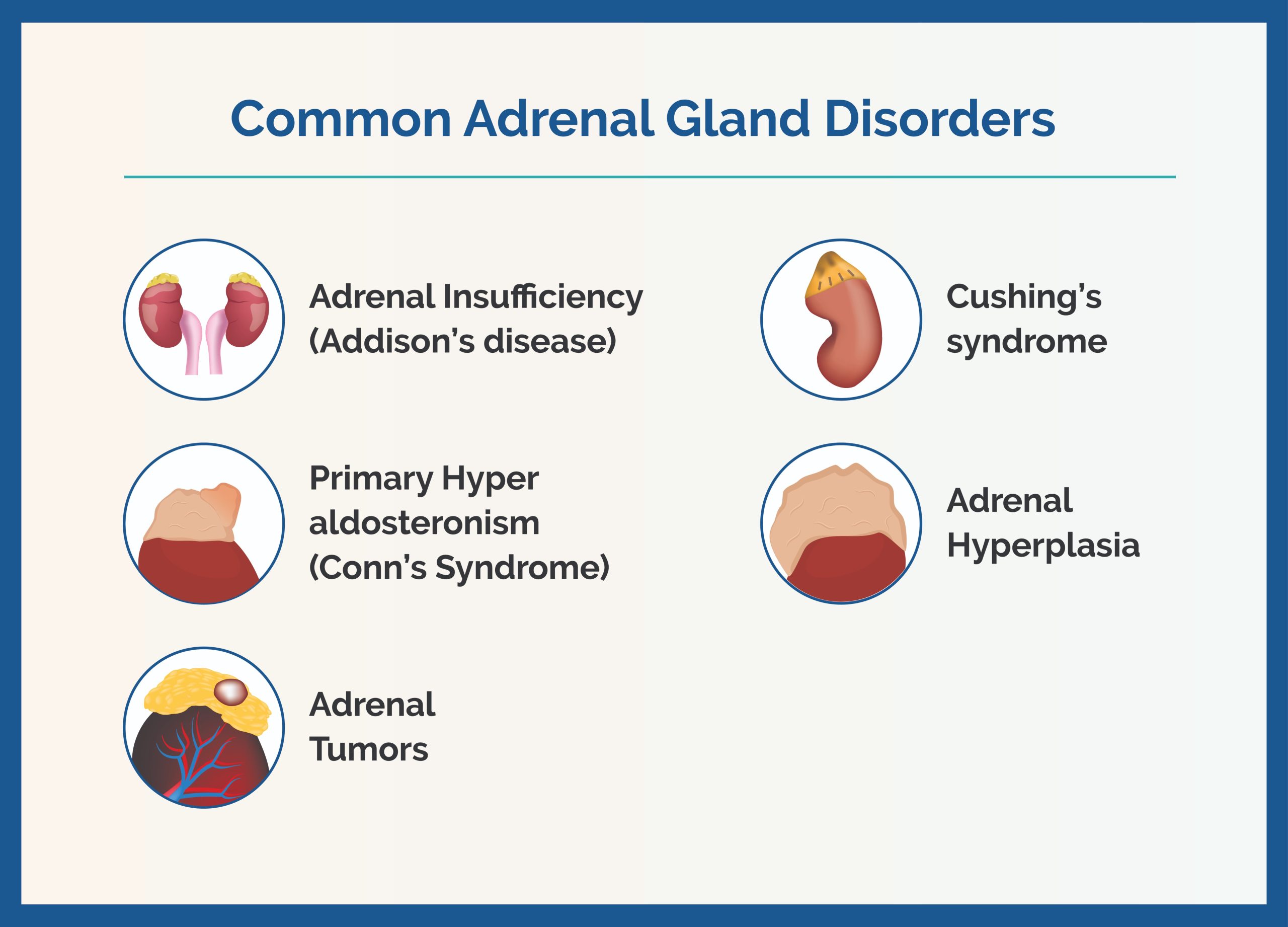 Adrenal Gland Treatment Guide
